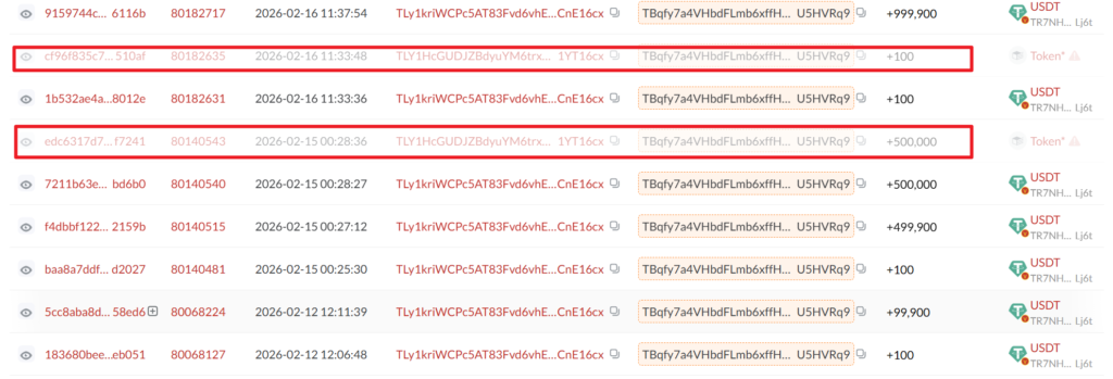 faked usdt trc20 address